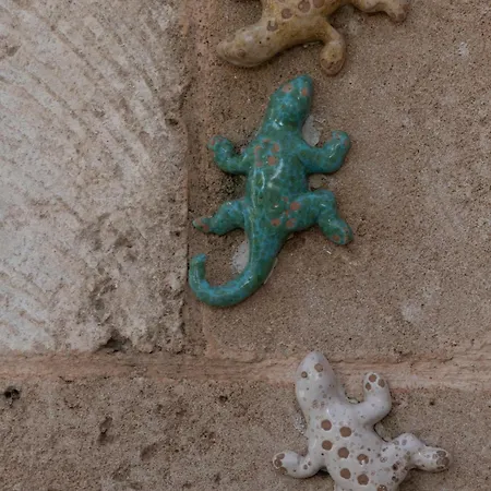 Fra Gli Ulivi *